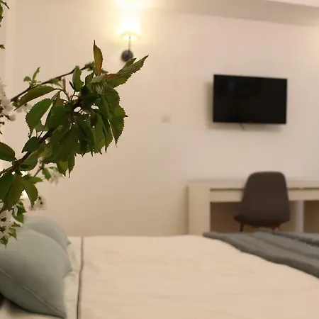 Apartamenty Rynek 24 Rzeszow Exterior photo